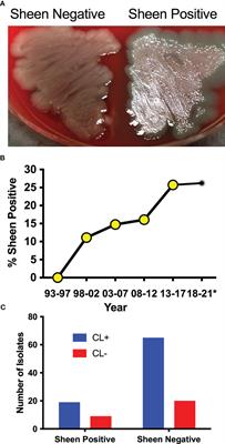 A rise in the frequency of lasR mutant Pseudomonas aeruginosa among keratitis isolates between 1993 and 2021